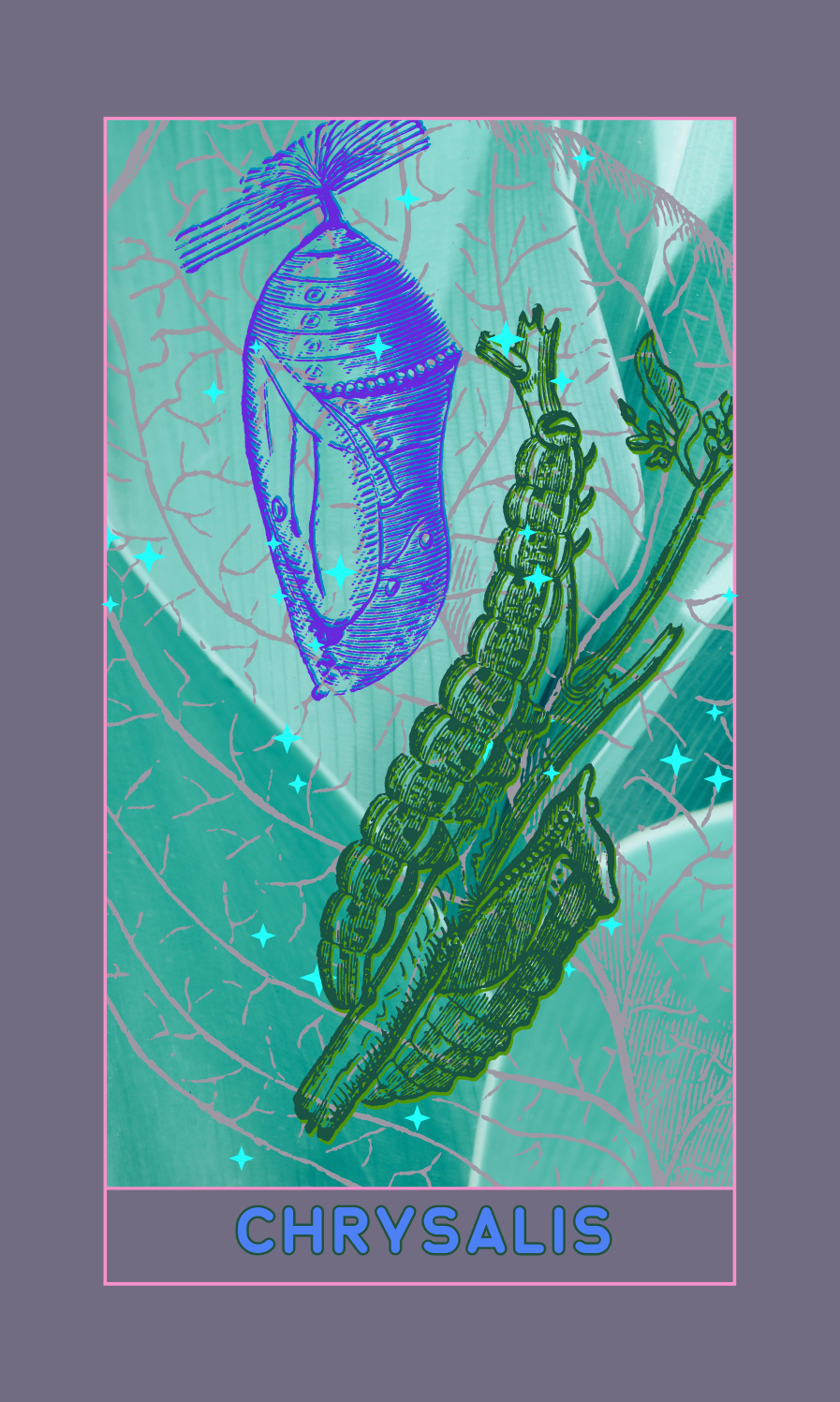 chrysalis oracle card